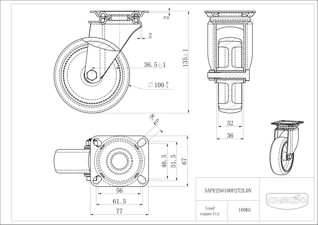 Technische Zeichnung BSSAPE2S0100P2T2L0N